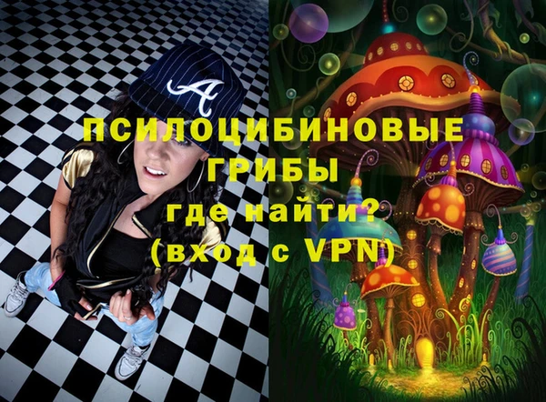 спайс Алексин
