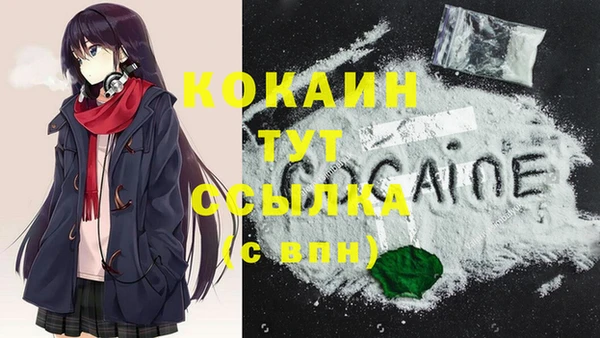 спайс Алексин