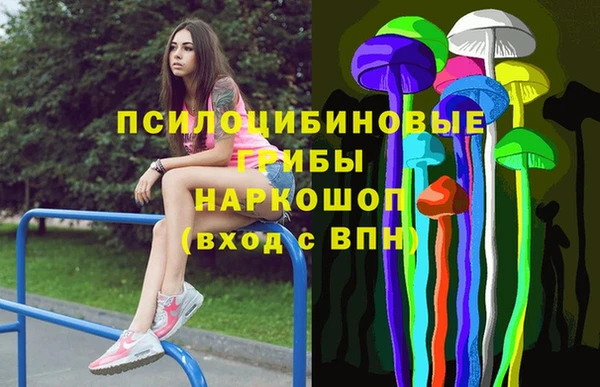 соль ск Абаза