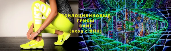 соль ск Абаза
