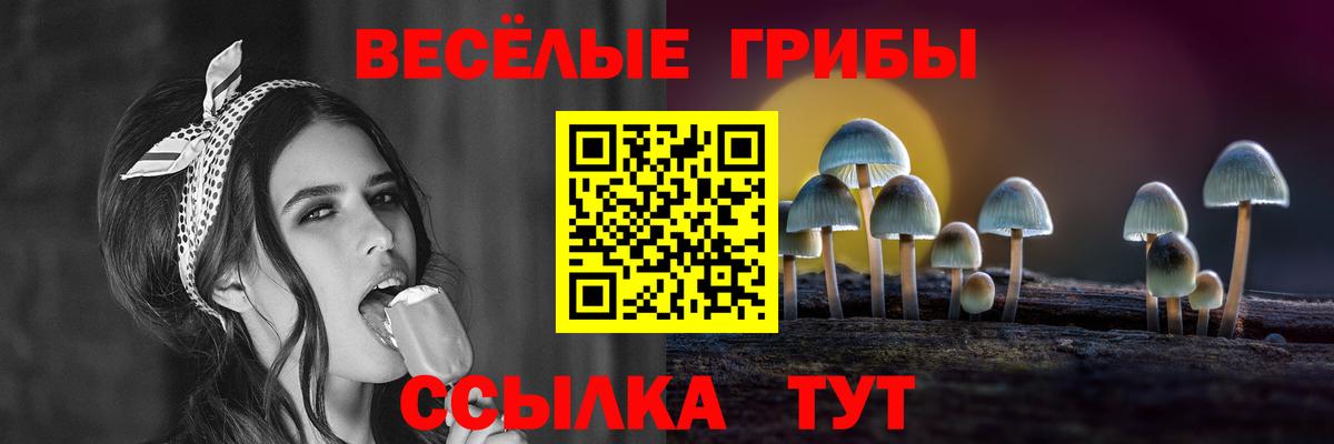 Псилоцибиновые грибы прущие грибы  Псилоцибиновые грибы Psilocybine cubensis  Вход с VPN  Бугуруслан 